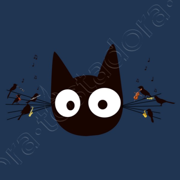 Gato negro
