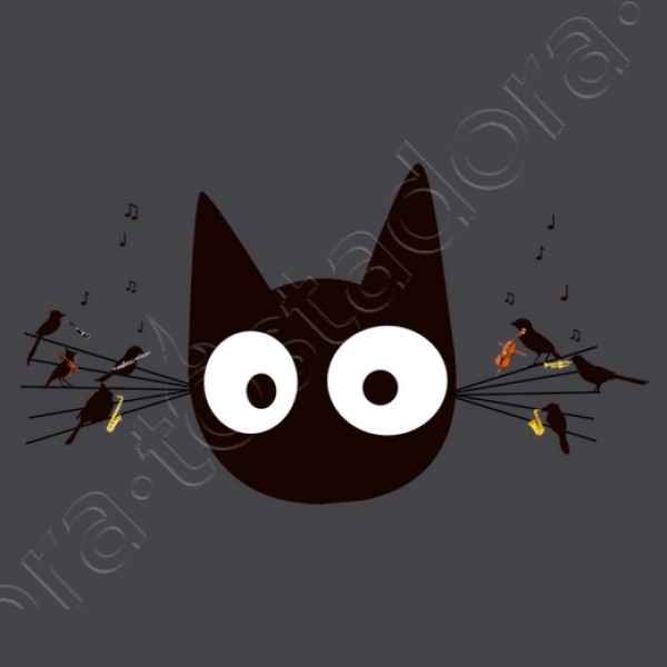 Gato negro