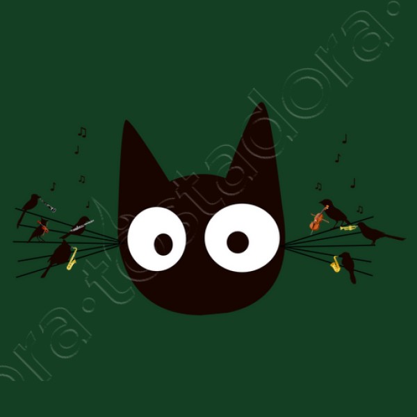 Gato negro