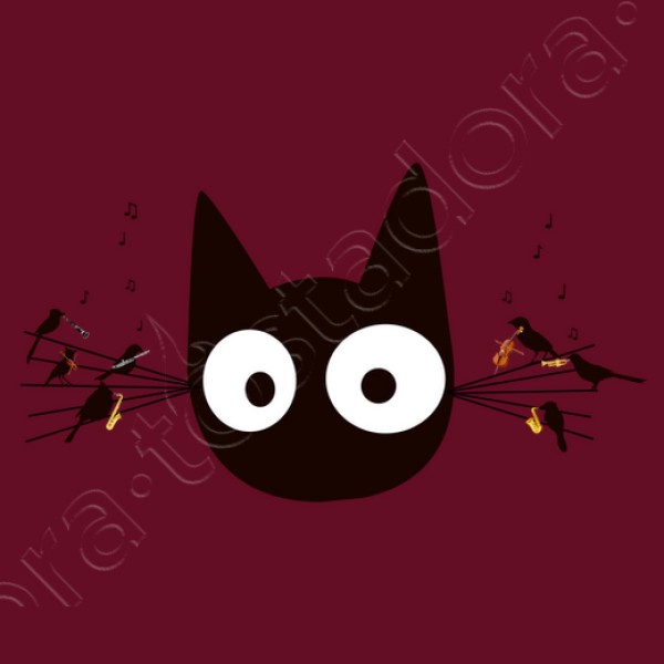 Gato negro
