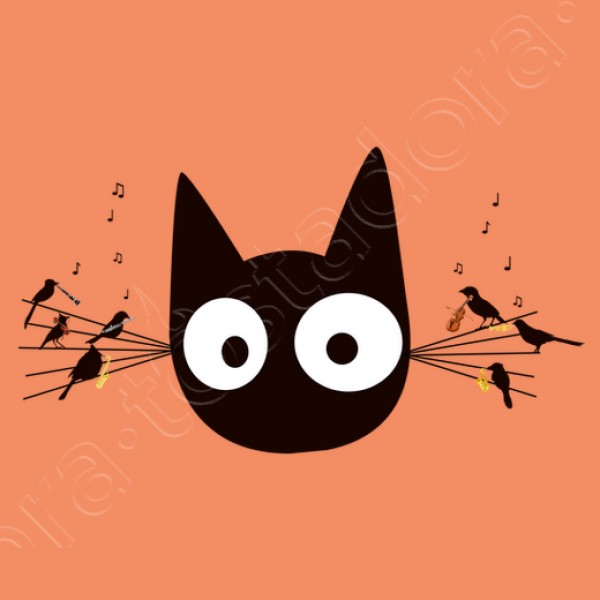 Gato negro