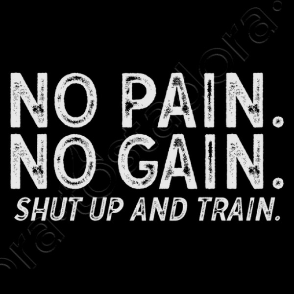 No Pain No Gain