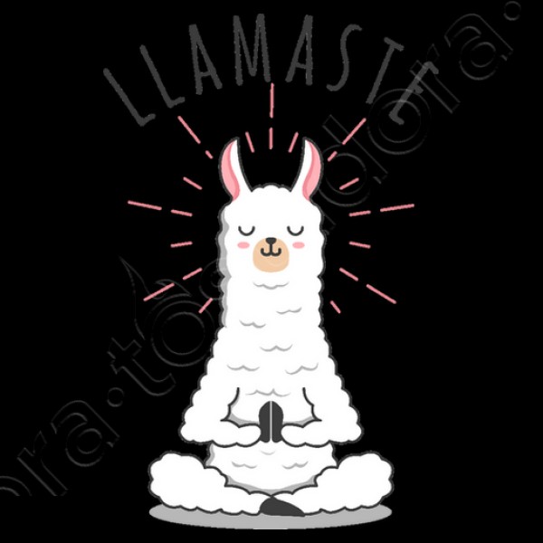 Llamastu00e9