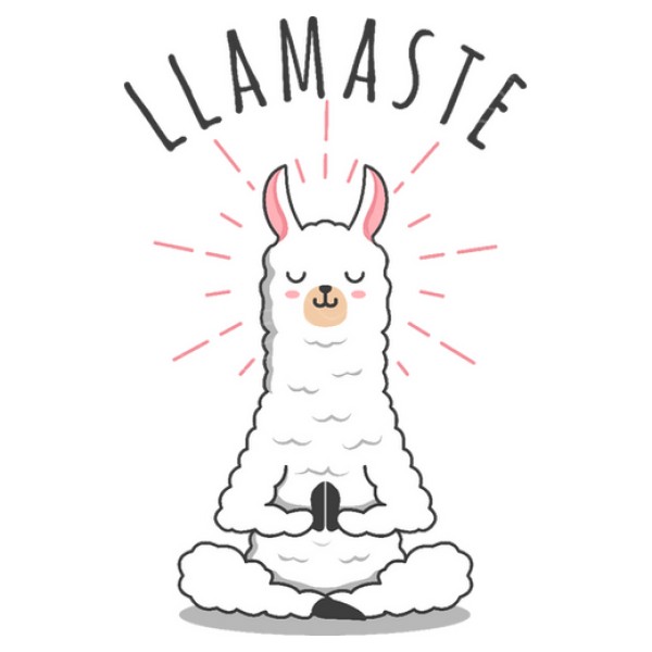 Llamastu00e9