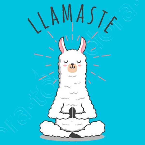 Llamastu00e9