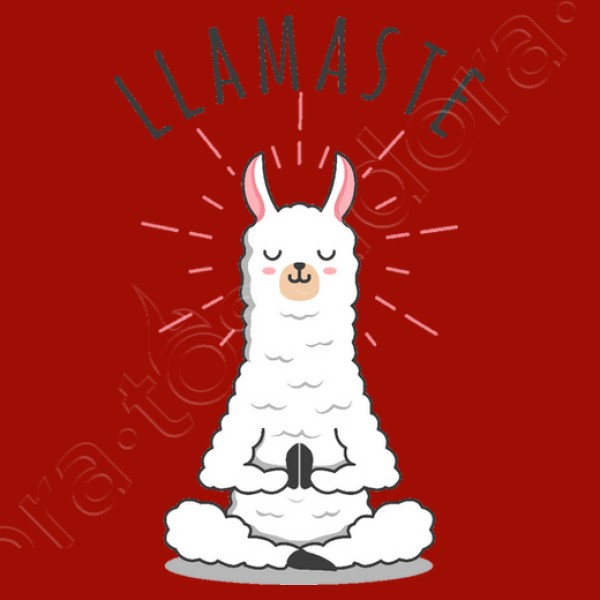 Llamastu00e9