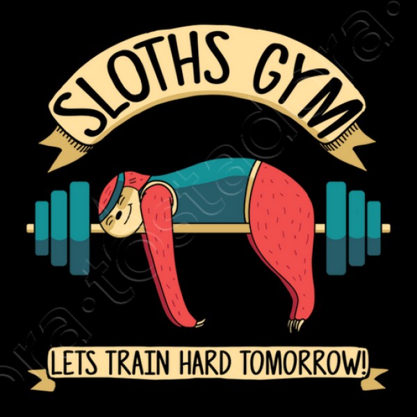 sloths gym, perezoso