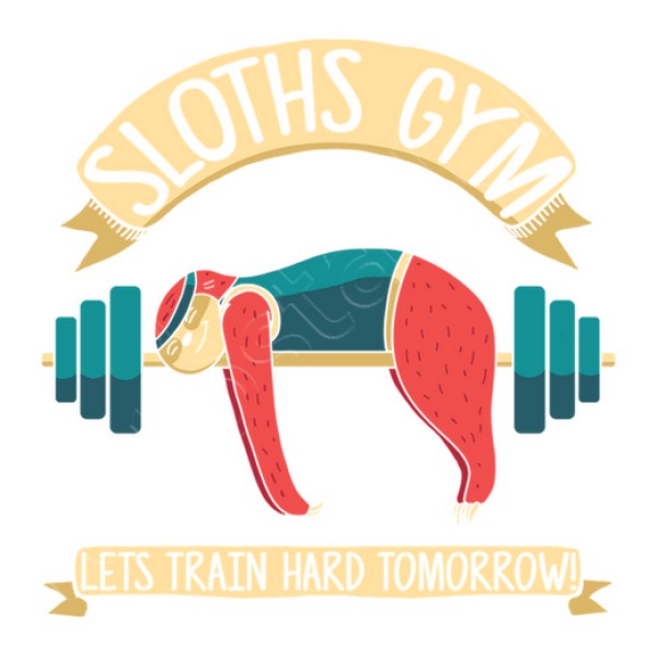sloths gym, perezoso