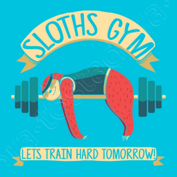 sloths gym, perezoso