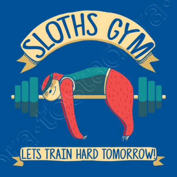 sloths gym, perezoso