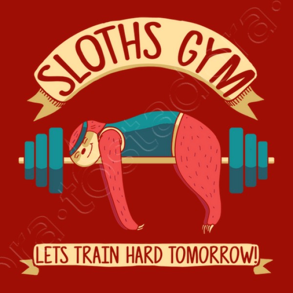 sloths gym, perezoso