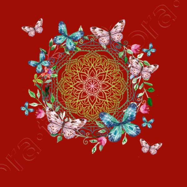 Mandala butterfly