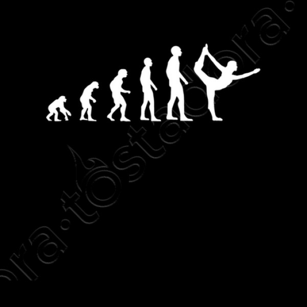 evoluciu00f3n gimnasio humor gimnasia