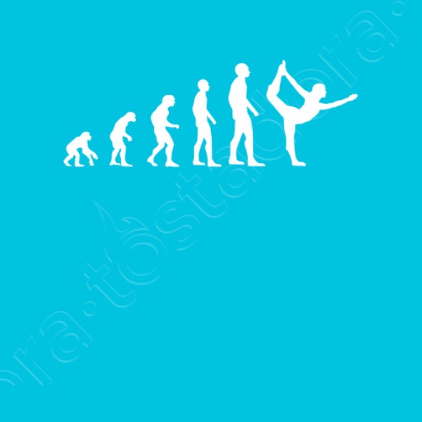 evoluciu00f3n gimnasio humor gimnasia