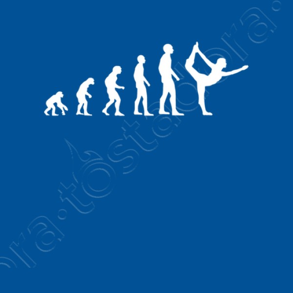 evoluciu00f3n gimnasio humor gimnasia