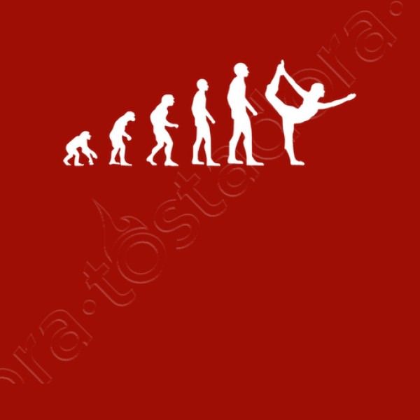 evoluciu00f3n gimnasio humor gimnasia