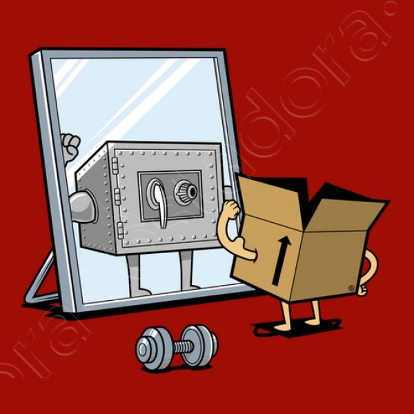 Caja Fuerte