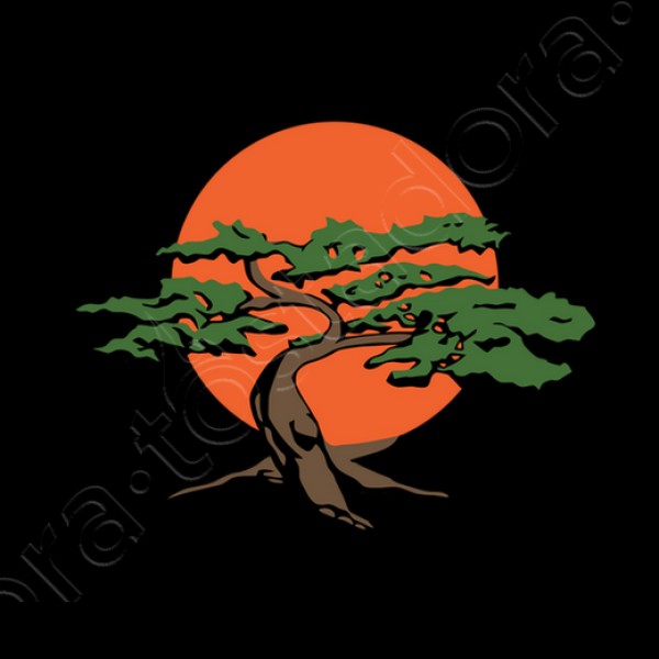 Miyagi-Do Karate