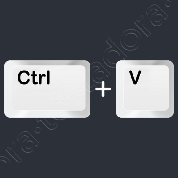 Ctrl V - Pegar - Hijos