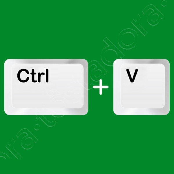Ctrl V - Pegar - Hijos