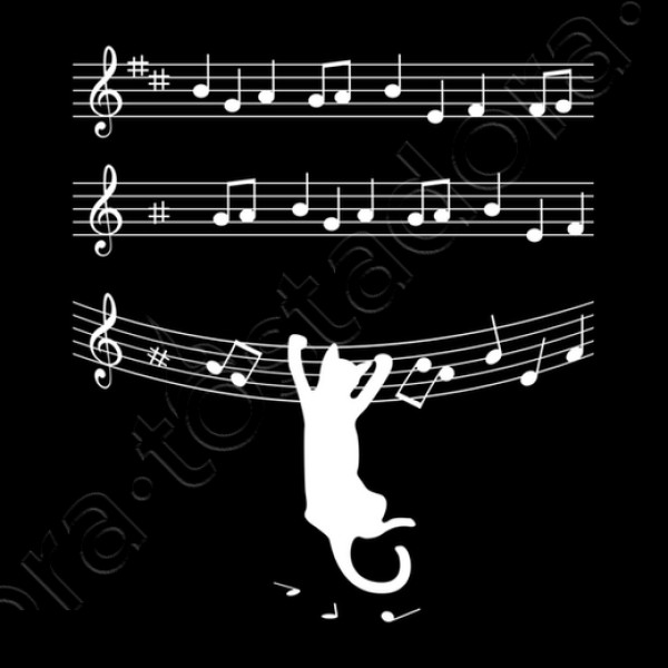 cuando los gatos hacen mu00fasica