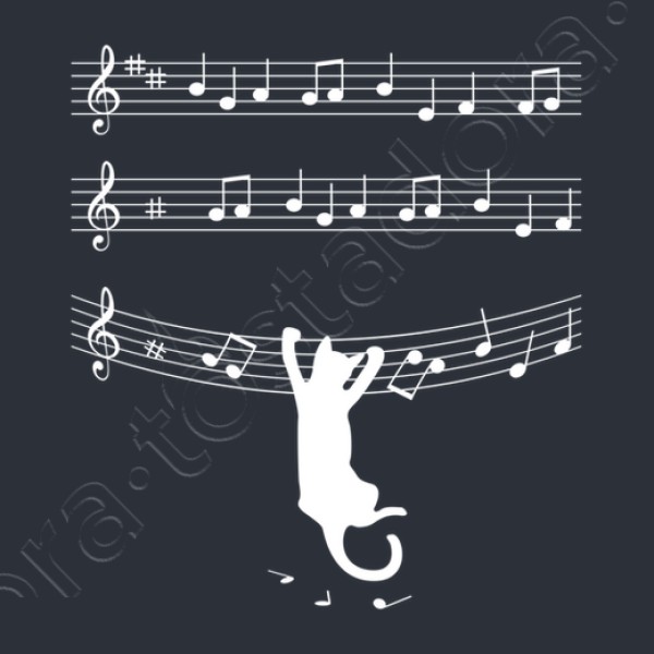 cuando los gatos hacen mu00fasica