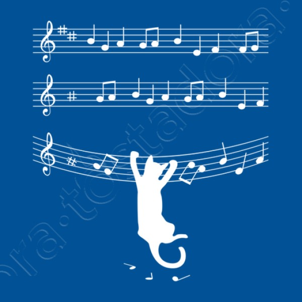 cuando los gatos hacen mu00fasica