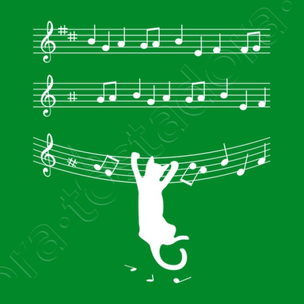cuando los gatos hacen mu00fasica