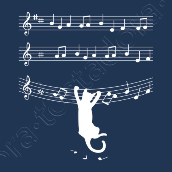 cuando los gatos hacen mu00fasica