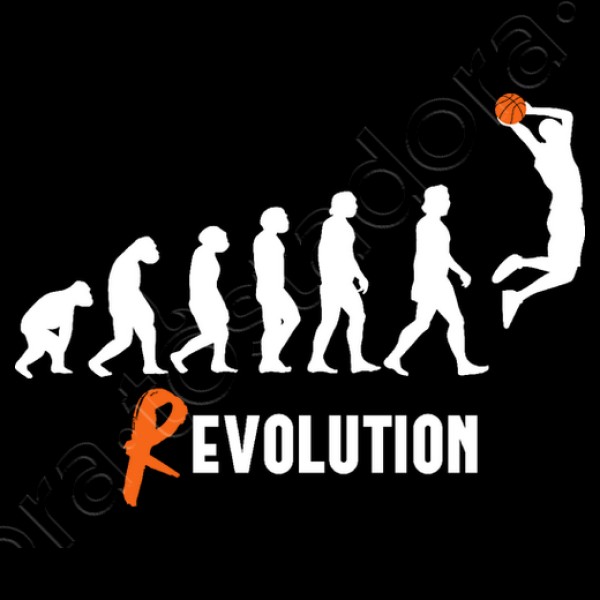 Basket Revolution