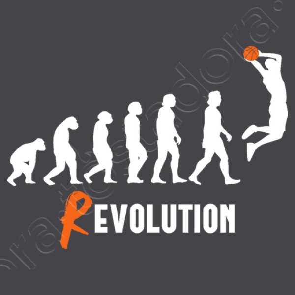 Basket Revolution