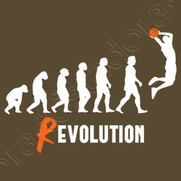 Basket Revolution