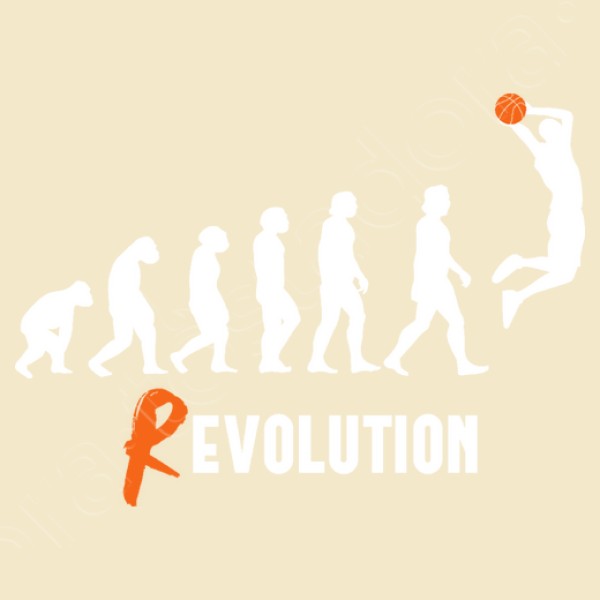 Basket Revolution