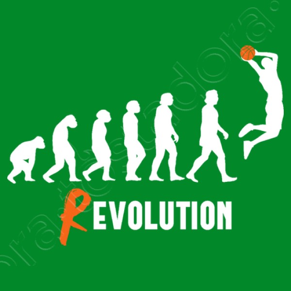 Basket Revolution