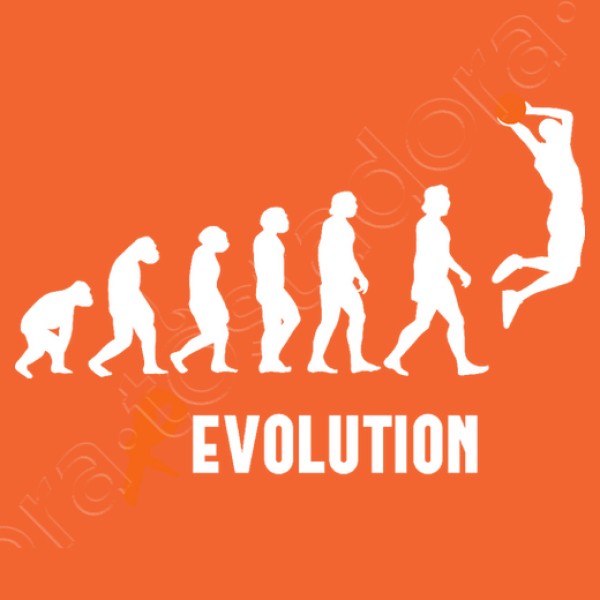 Basket Revolution