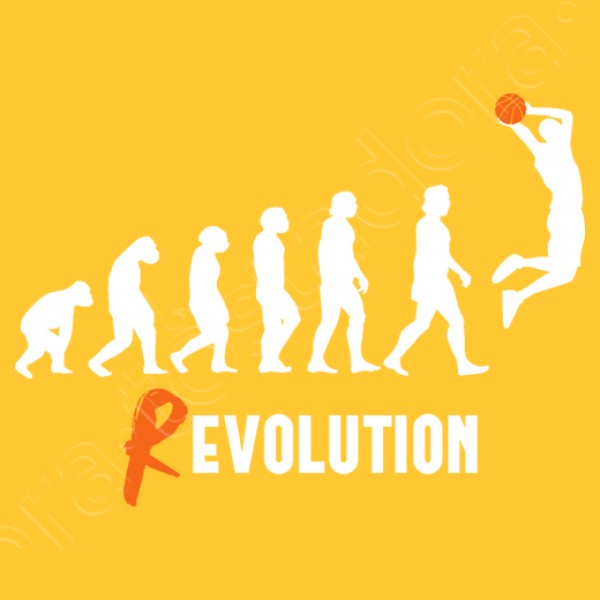 Basket Revolution