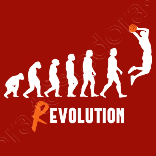 Basket Revolution