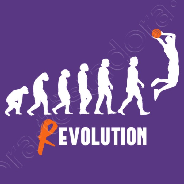 Basket Revolution