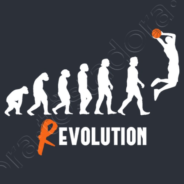 Basket Revolution