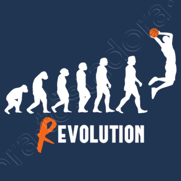 Basket Revolution