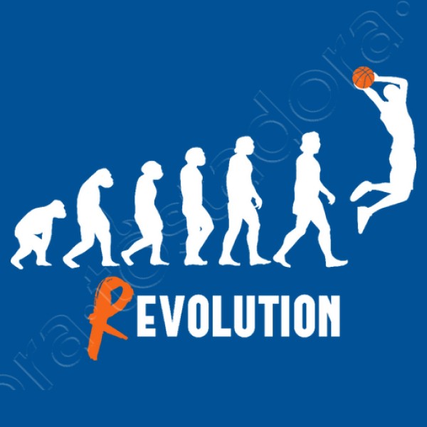 Basket Revolution