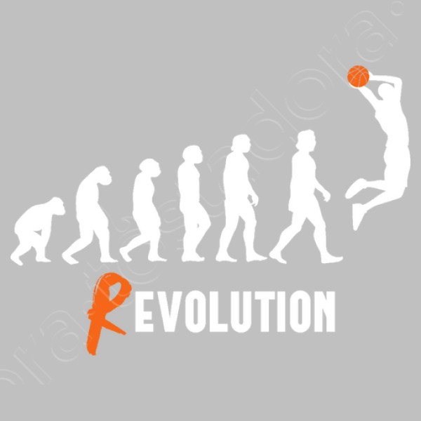 Basket Revolution