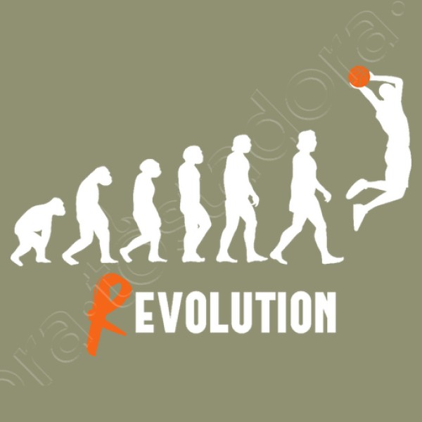 Basket Revolution