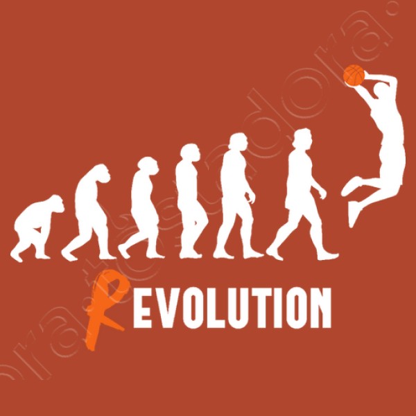 Basket Revolution