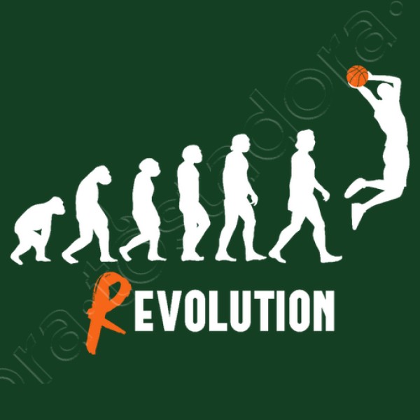 Basket Revolution
