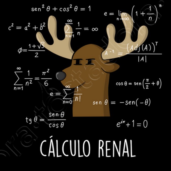 Calculo Renal