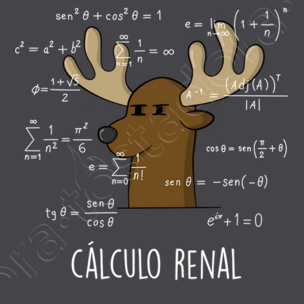 Calculo Renal