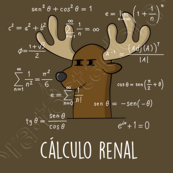 Calculo Renal