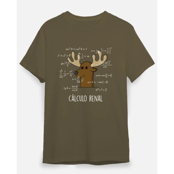 Calculo Renal