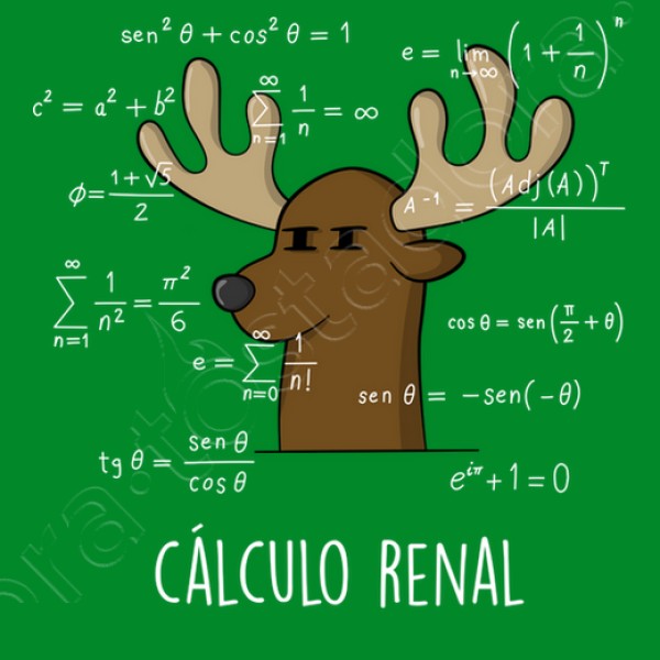 Calculo Renal